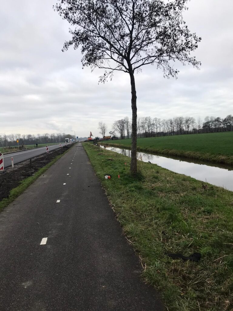 Bomen rooien Woudseweg 2020