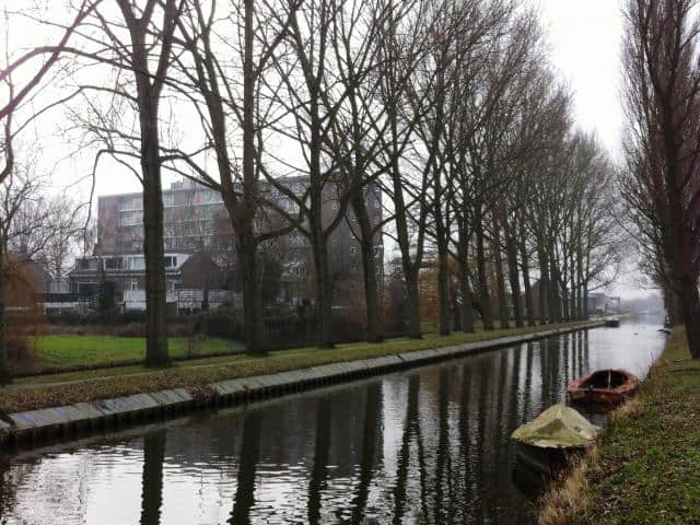 Verwijderen populieren gemeente Delft 9