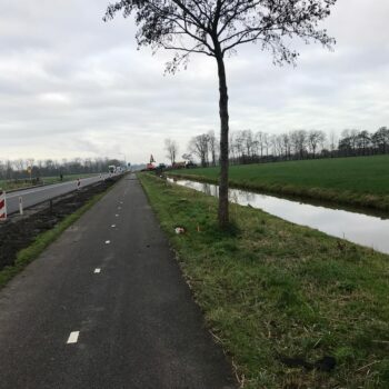 Bomen rooien Woudseweg 2020